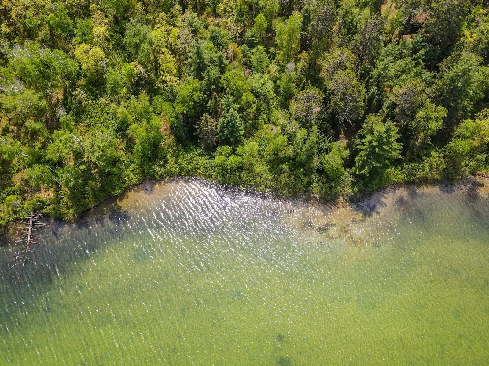 Shoreline Aerial by cabin