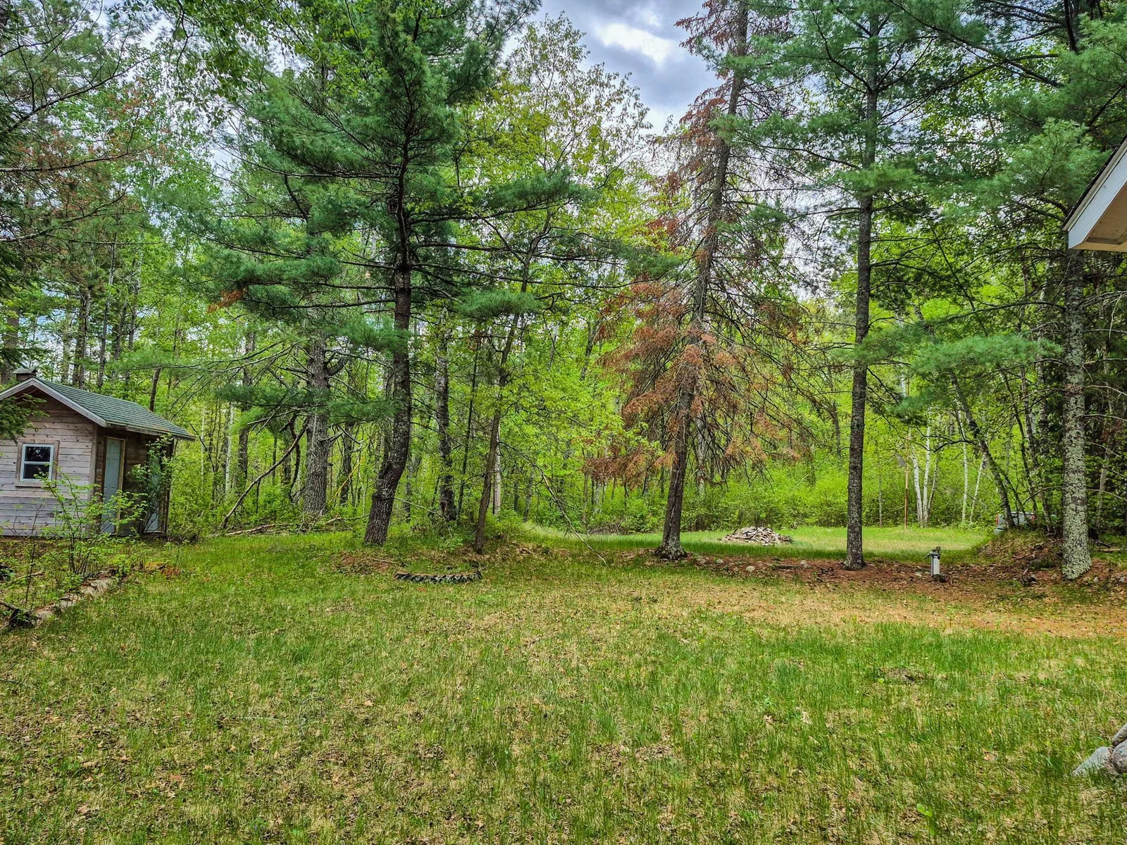 Yard View from Cabin