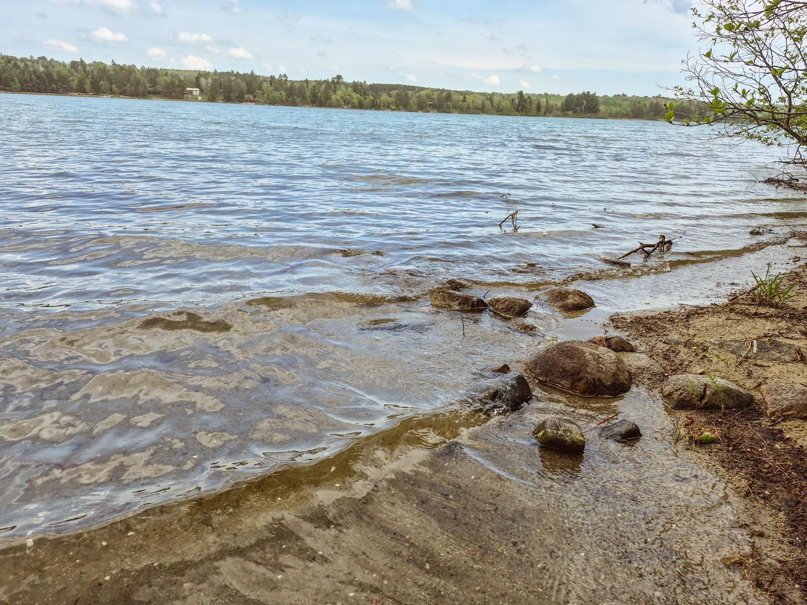 Shoreline