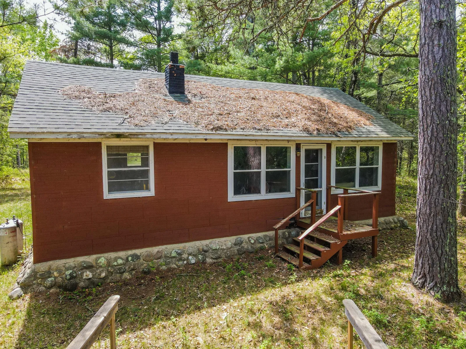Cabin Lake Side