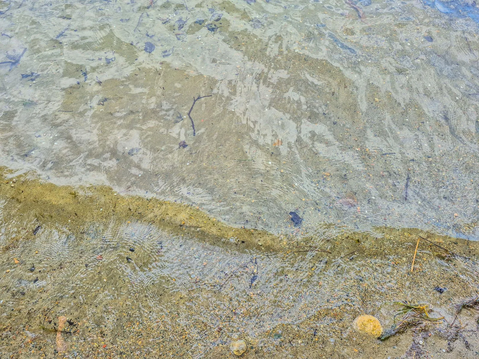 Sand Lake Bottom.