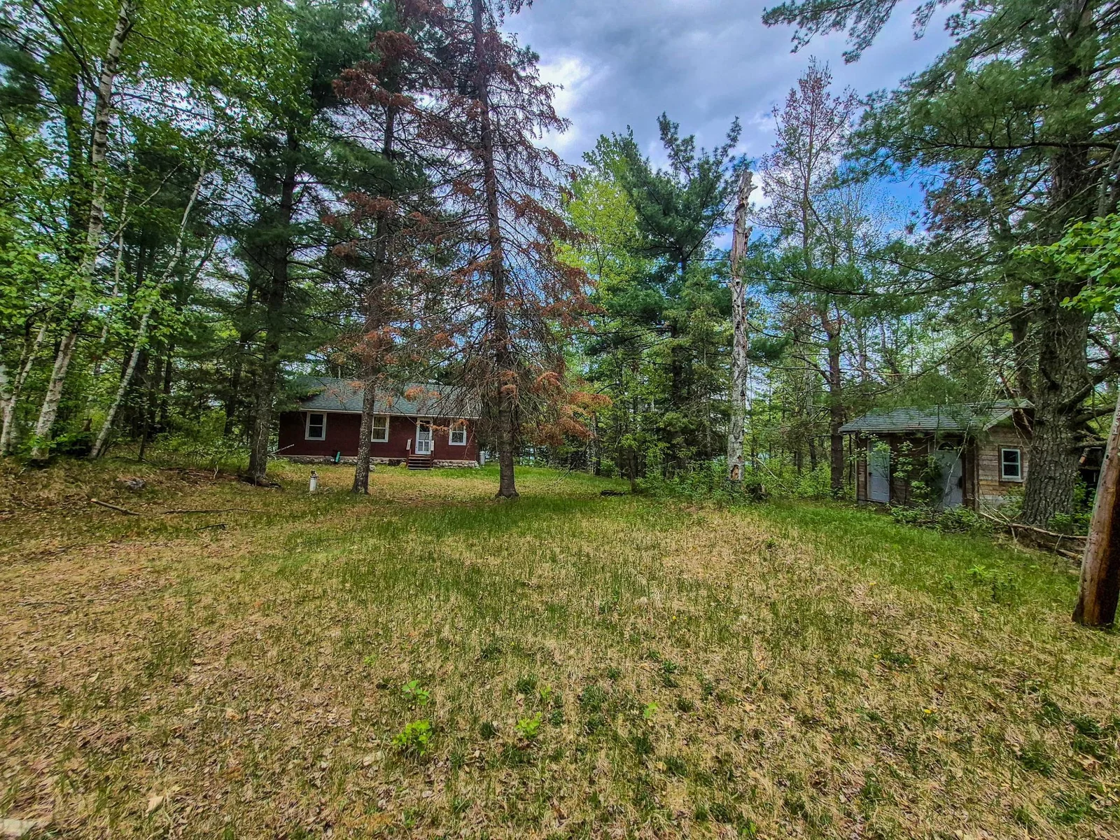Cabin and Shed