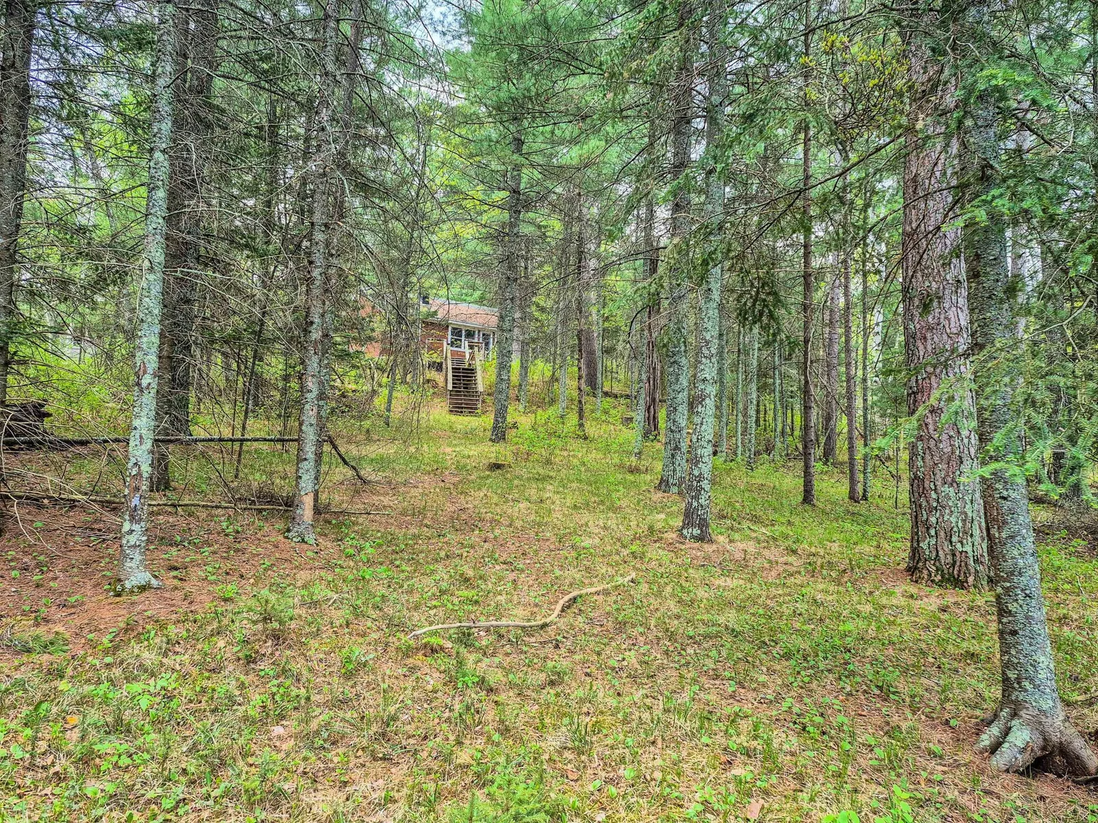 Shoreline to Cabin