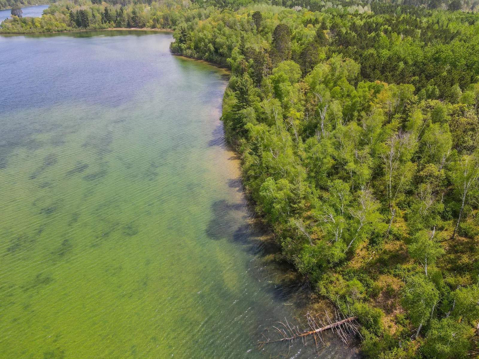 Shoreline Aerial Looking East