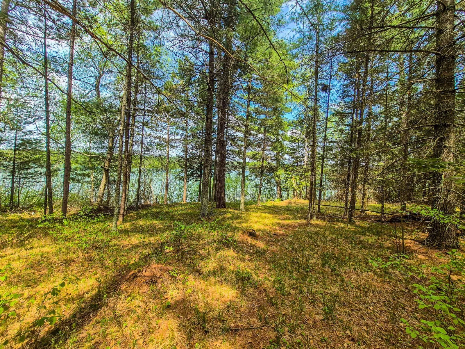 Area by Shoreline
