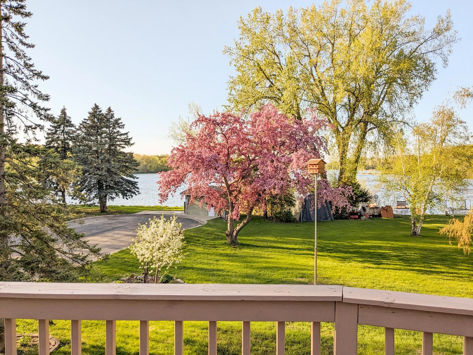 Deck Spring View