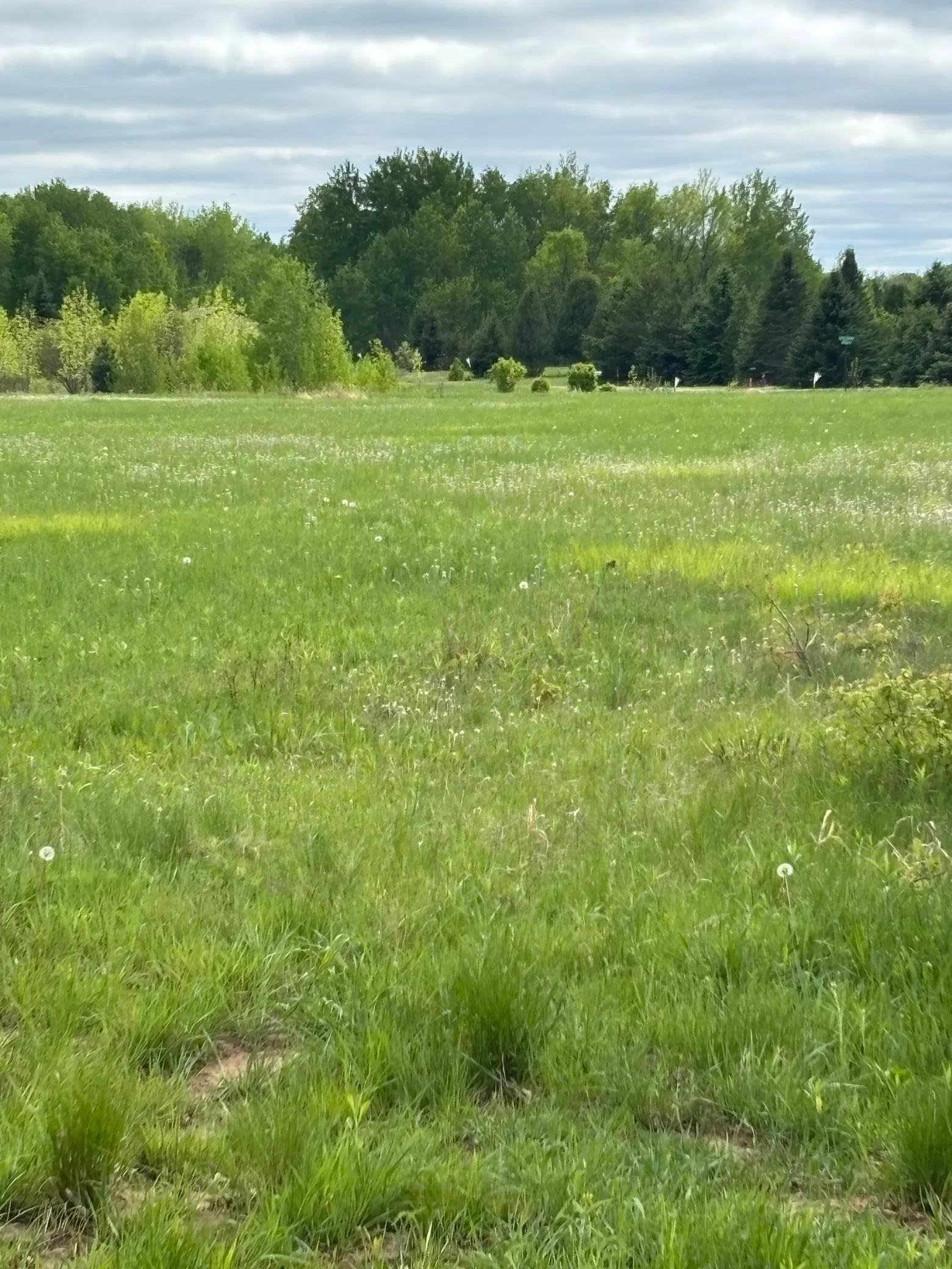 Photo 1 of Jefferson