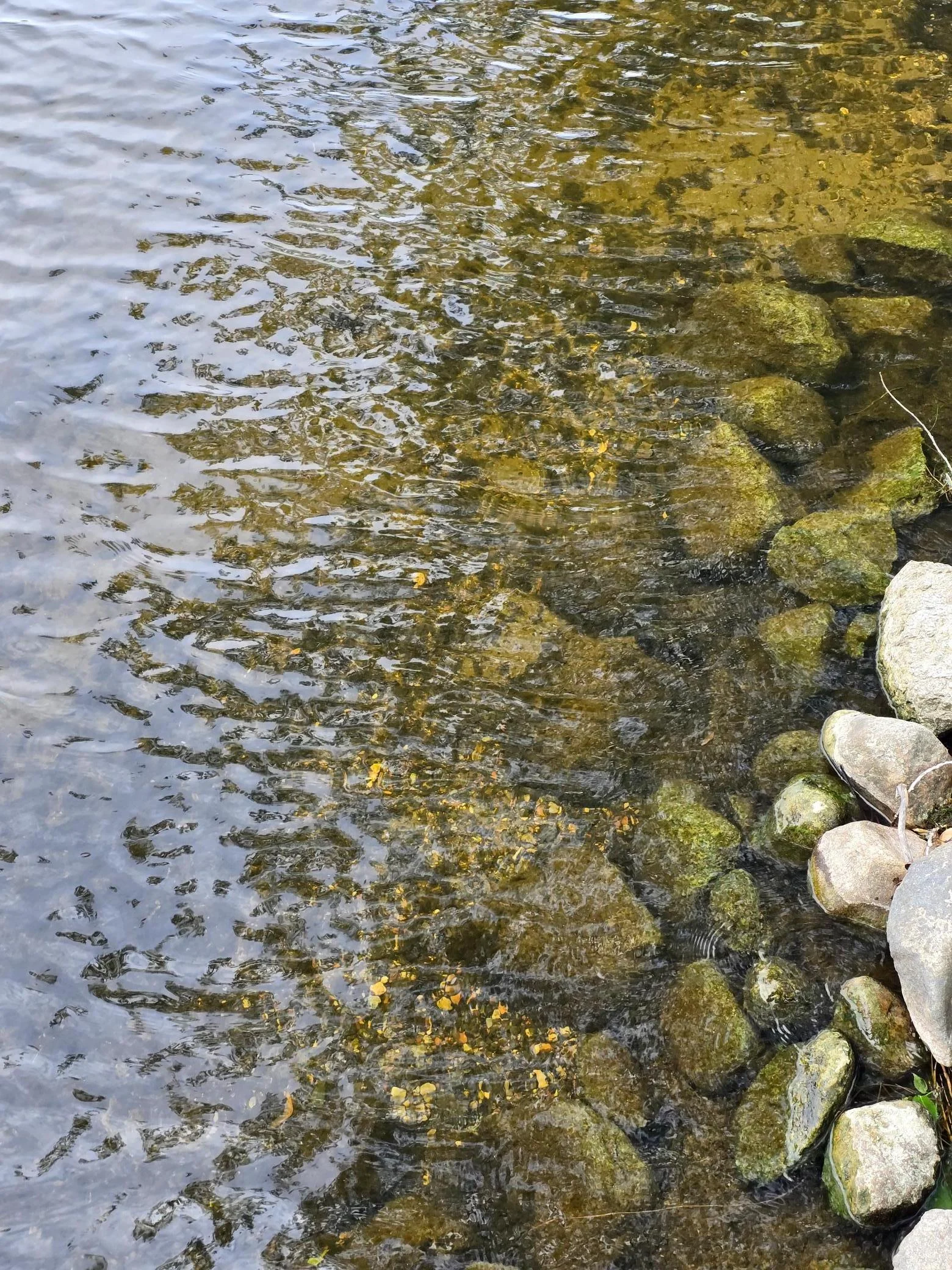20250519_125812.jpg