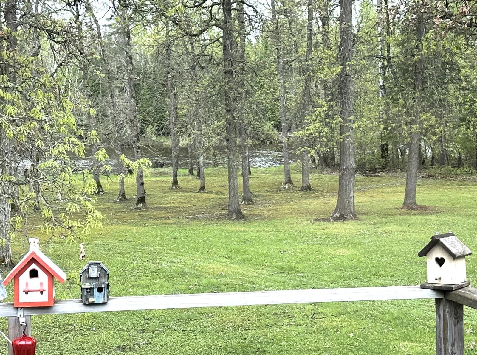 1529 Riddell Rd View from deck .JPG