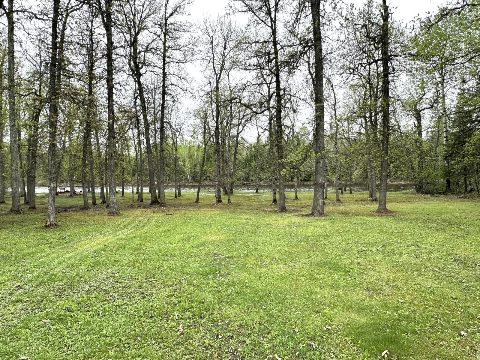 1529 Riddell Rd River View .JPG