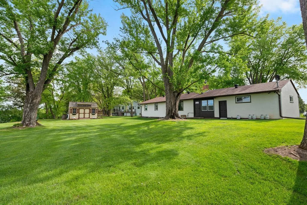 Lovely Backyard features Wonderful Trees and  a Shed