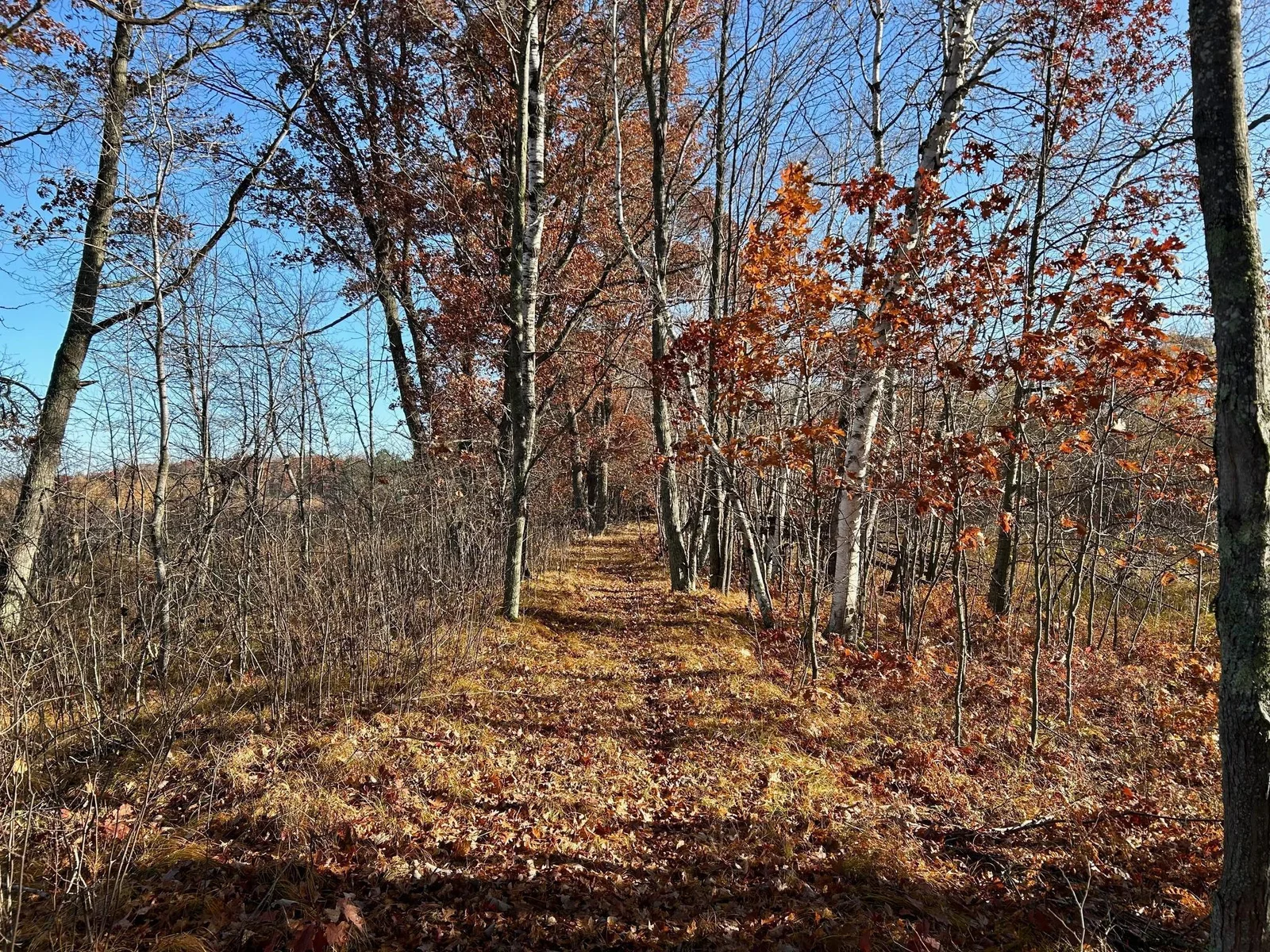 IMG_7815.jpg