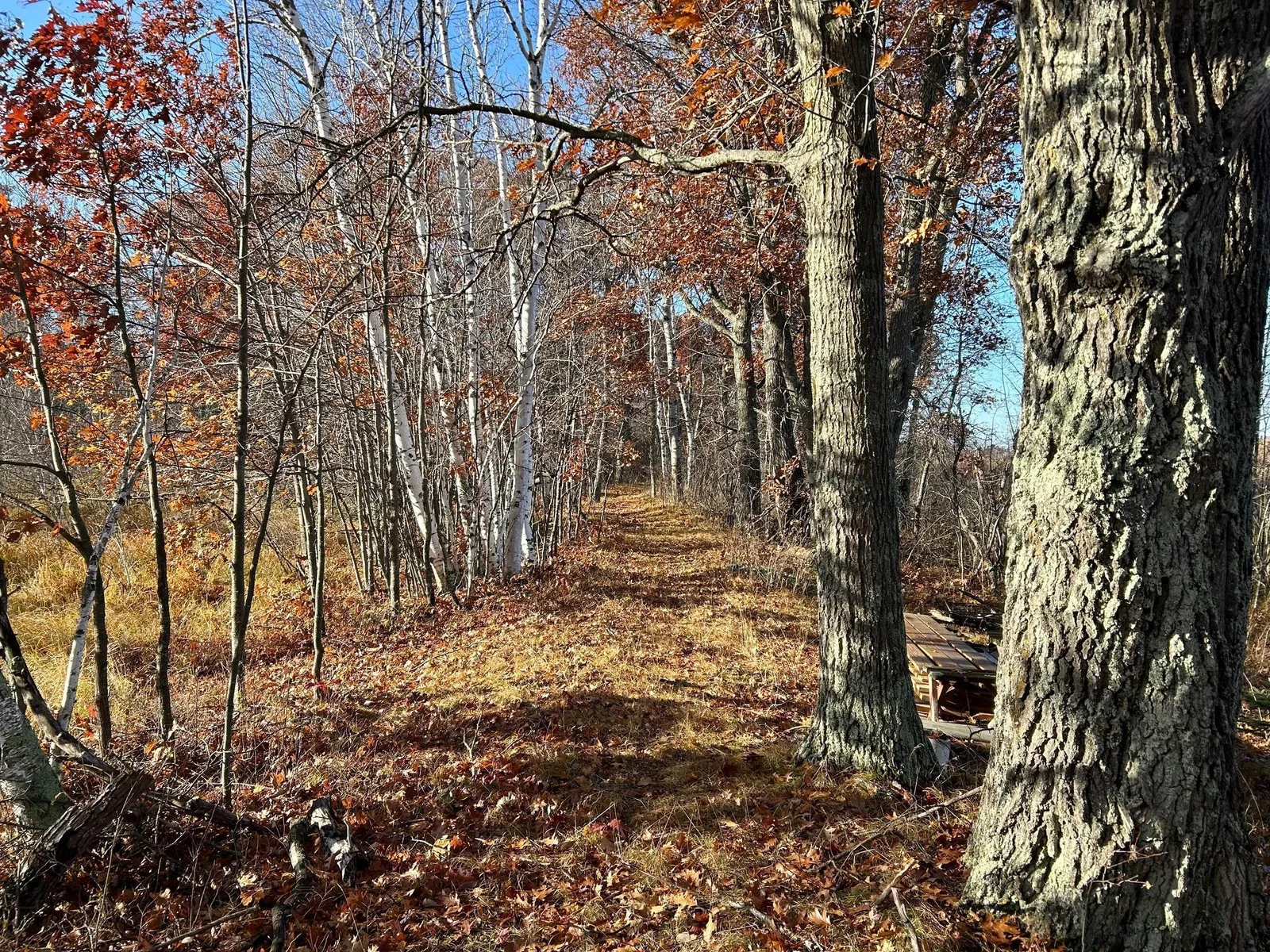 Photo 1 of 248th