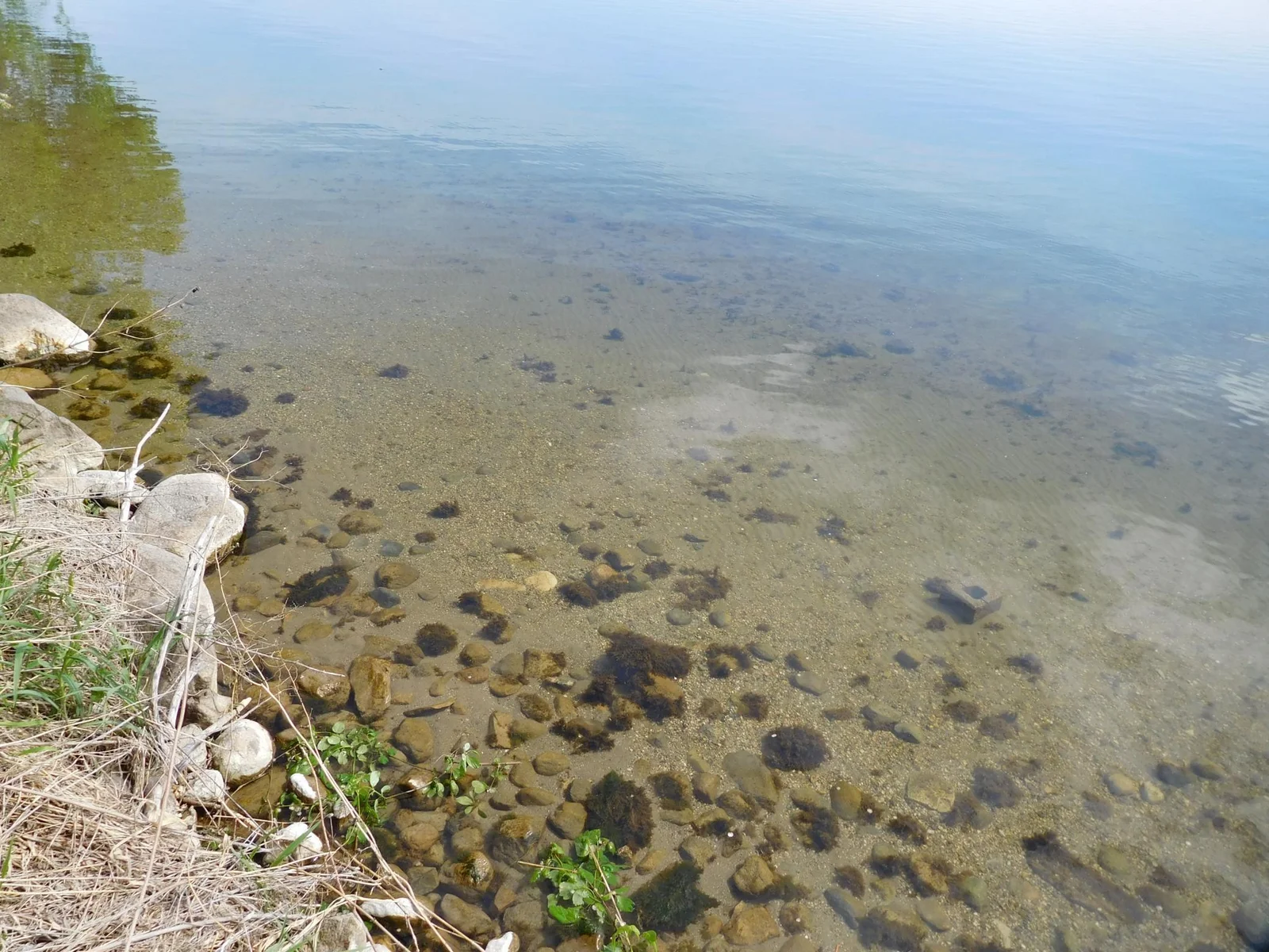 Shoreline