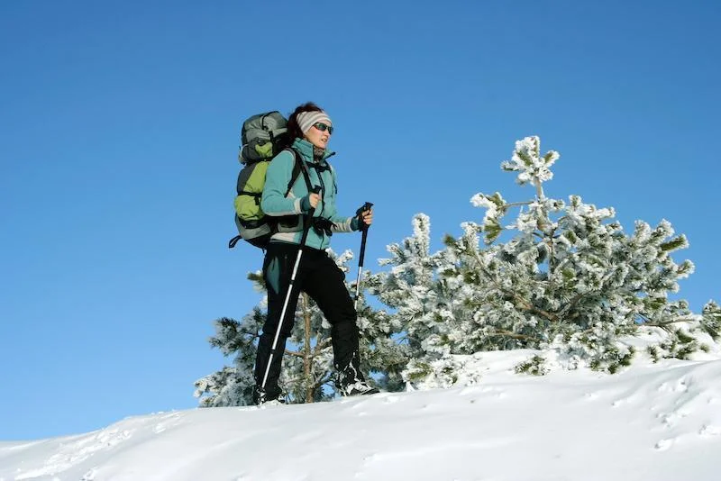 Snowshoe trails