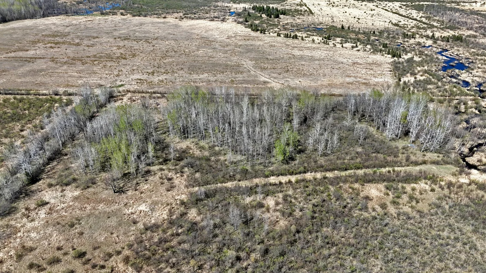 Picture 11.jpg