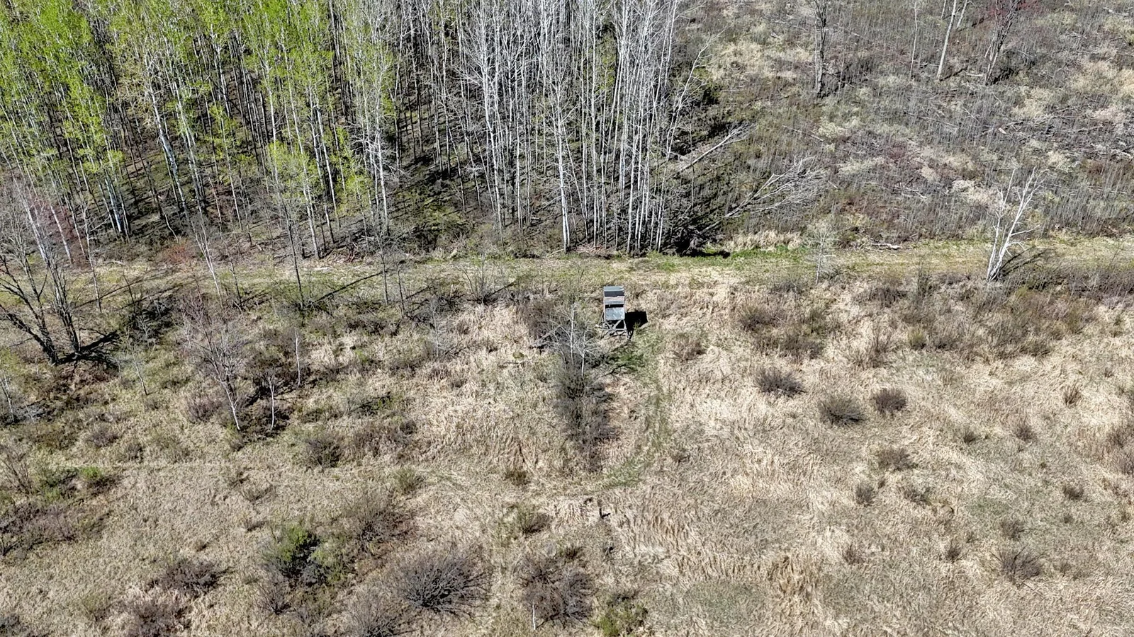 Picture 10.jpg