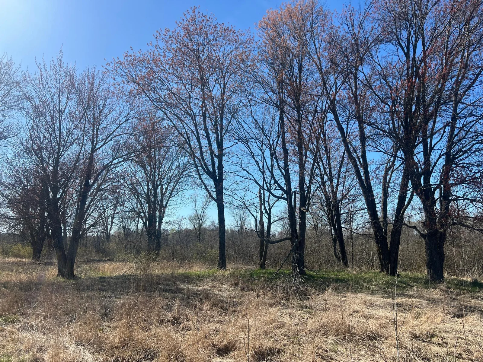 Photo 1 of County Road 19