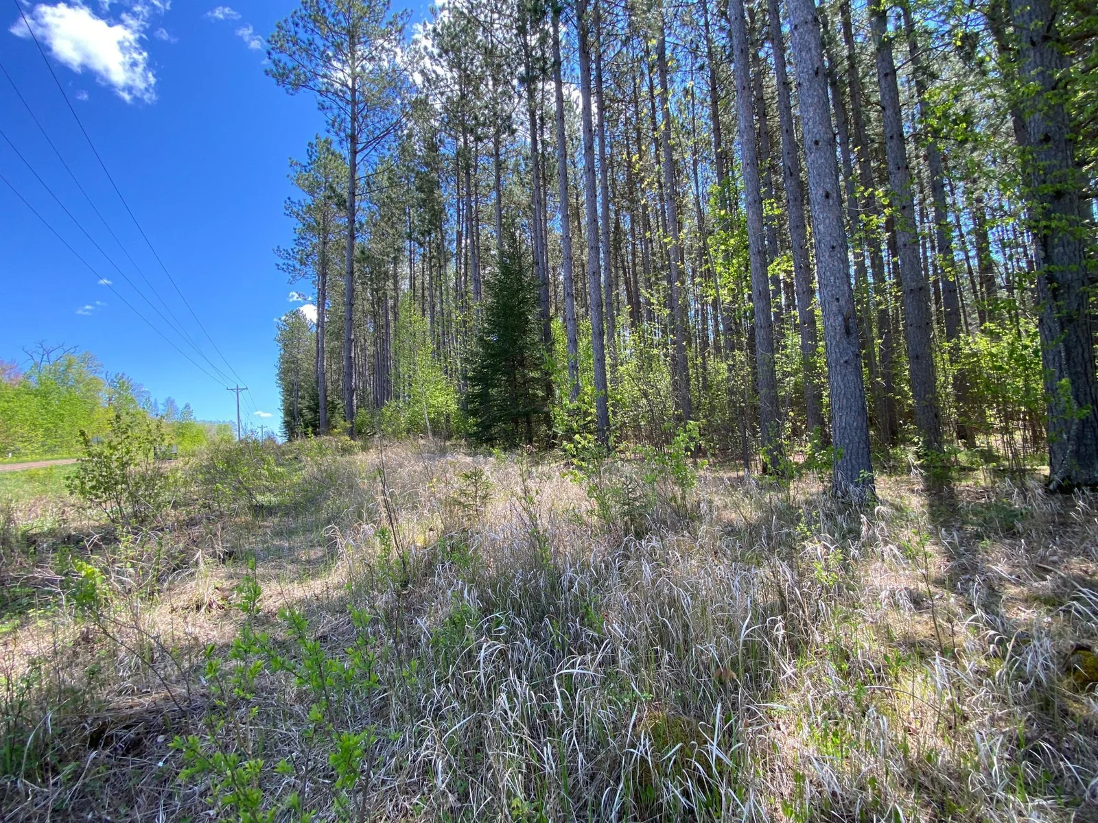 Highest elevation is on east of property