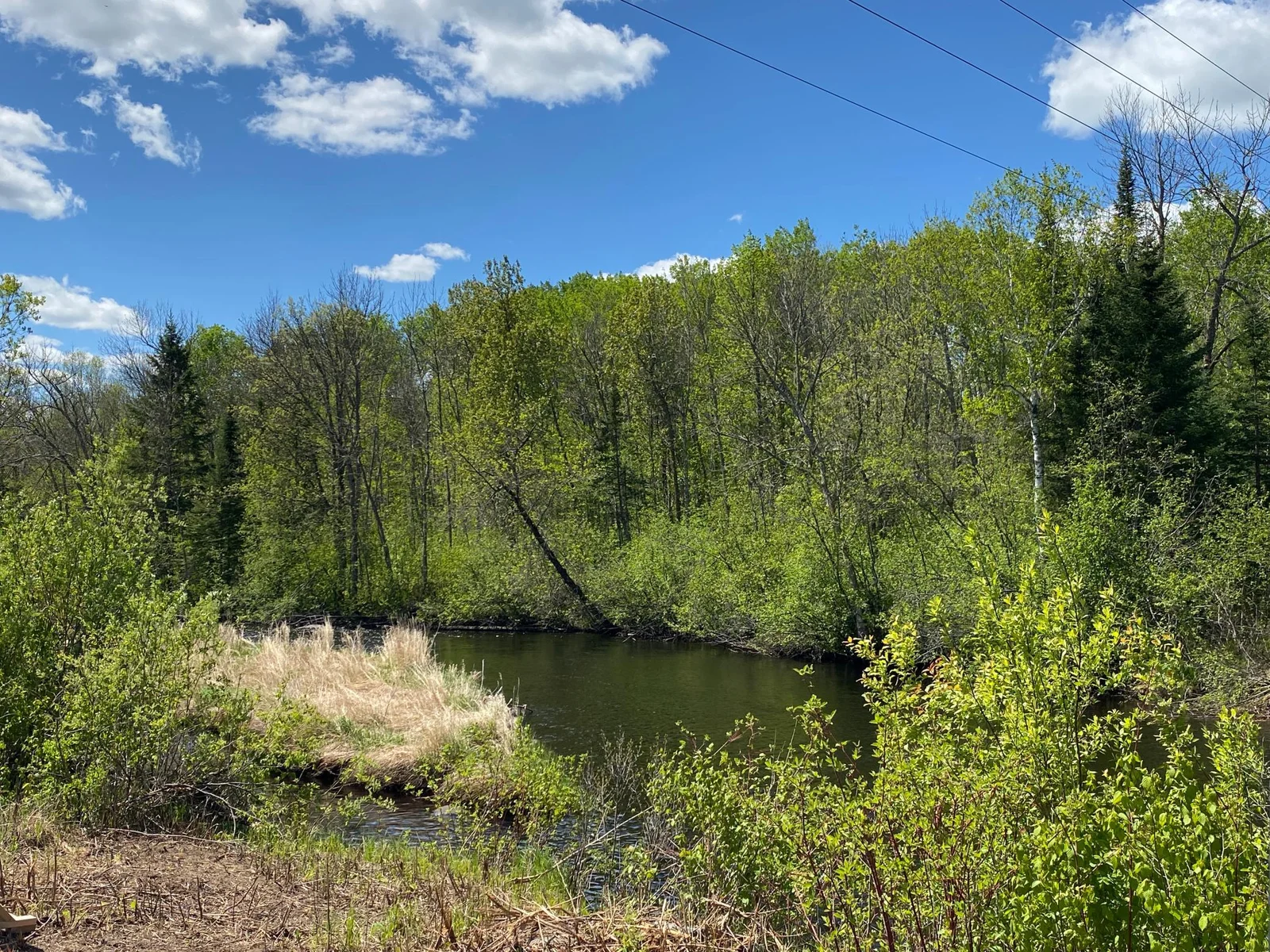 Co Rd 131 View