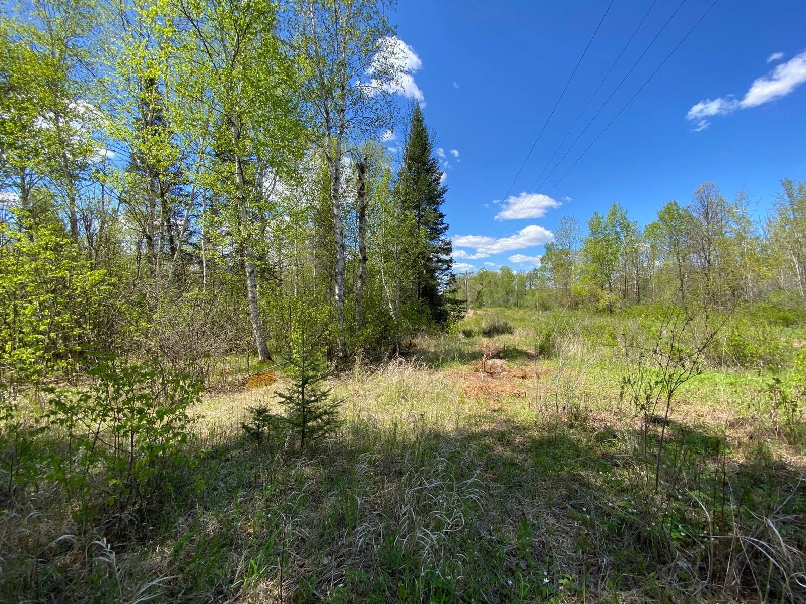 Minkkinen Rd View
