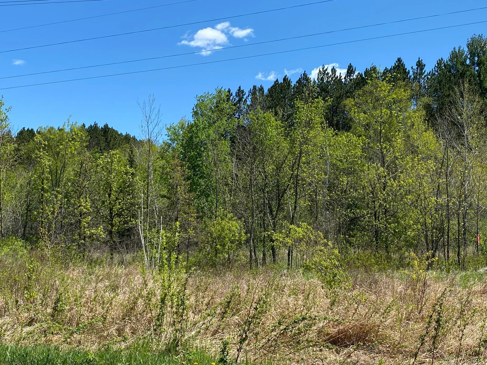 Minkkinen Rd View