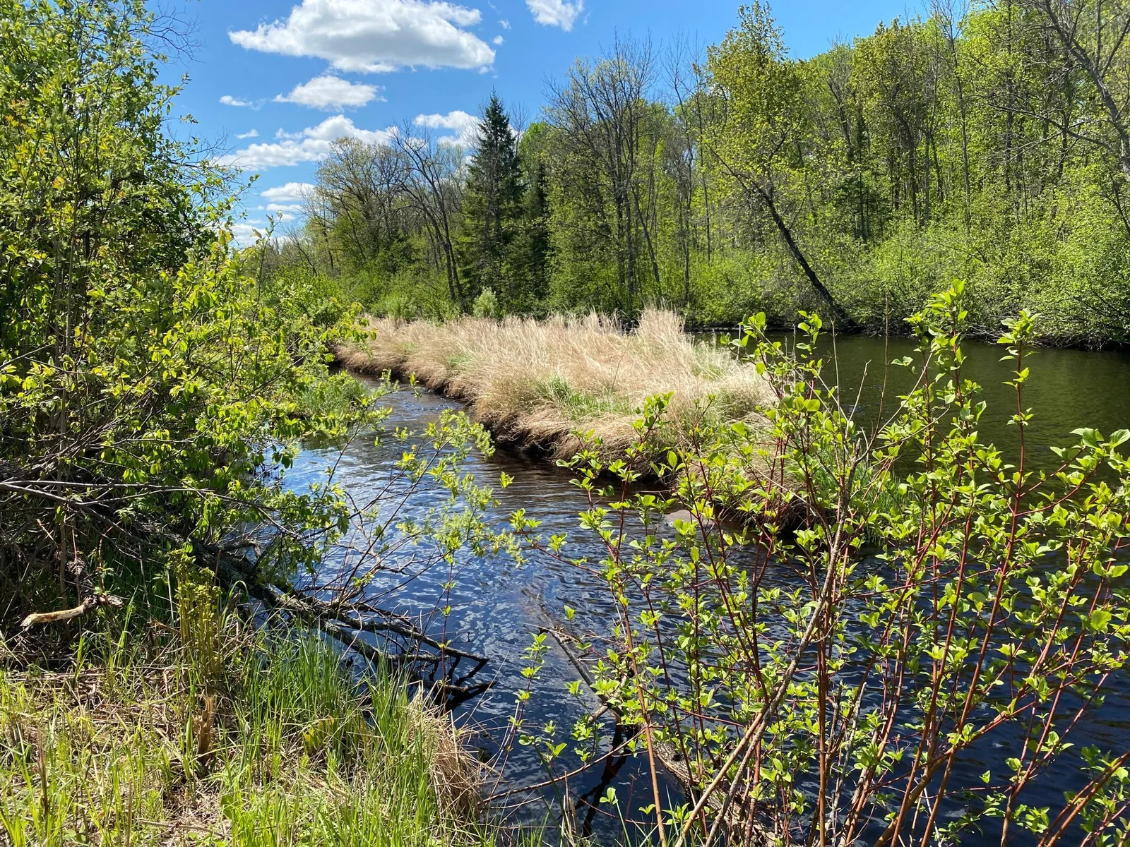 Sound on!  If you love the sound of a briskly flowing river take a look!