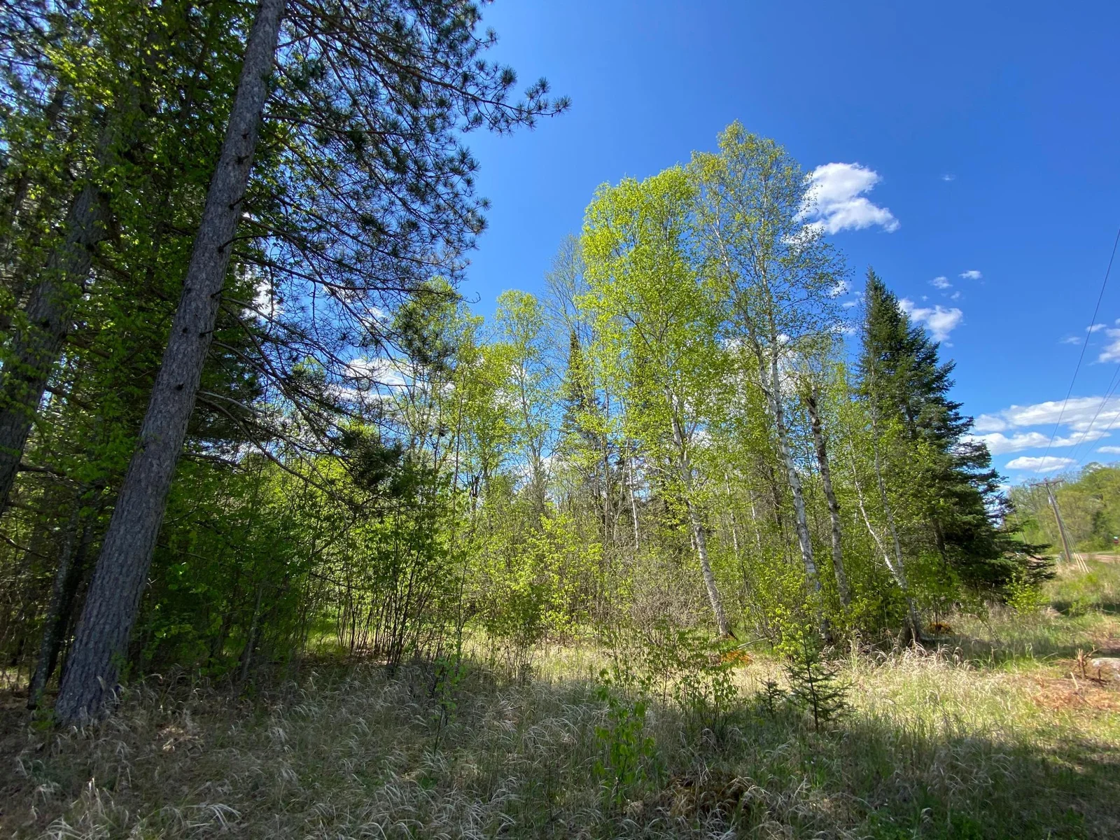 Minkkinen Rd View