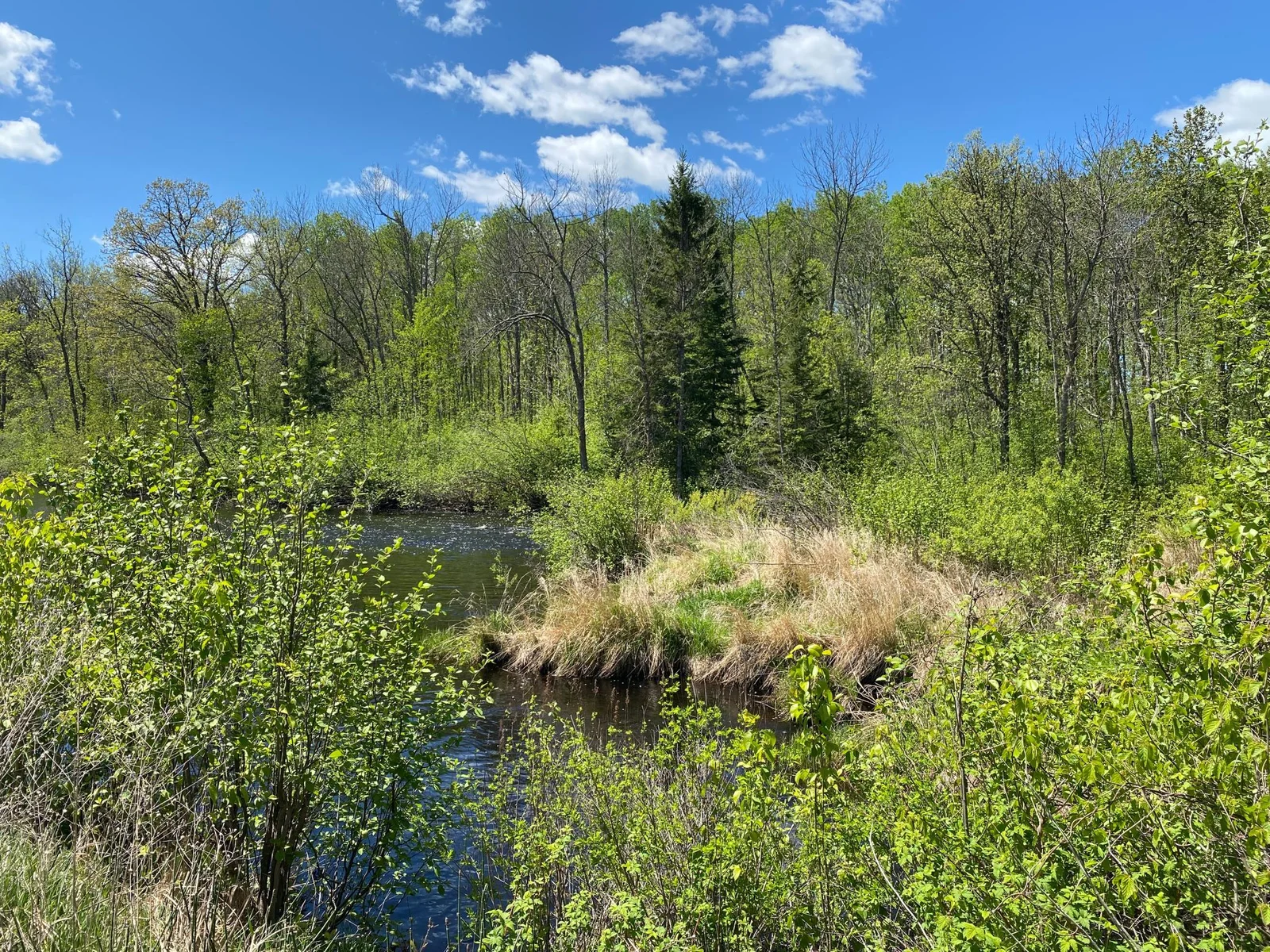 Co Rd 131 View