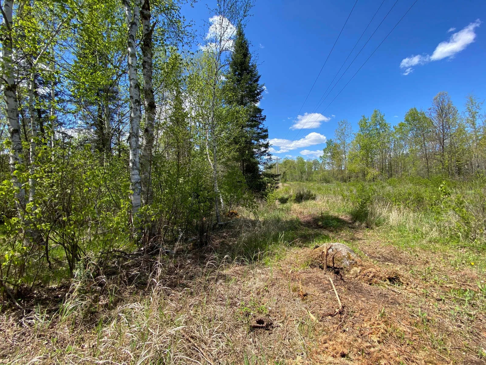 Minkkinen Rd View