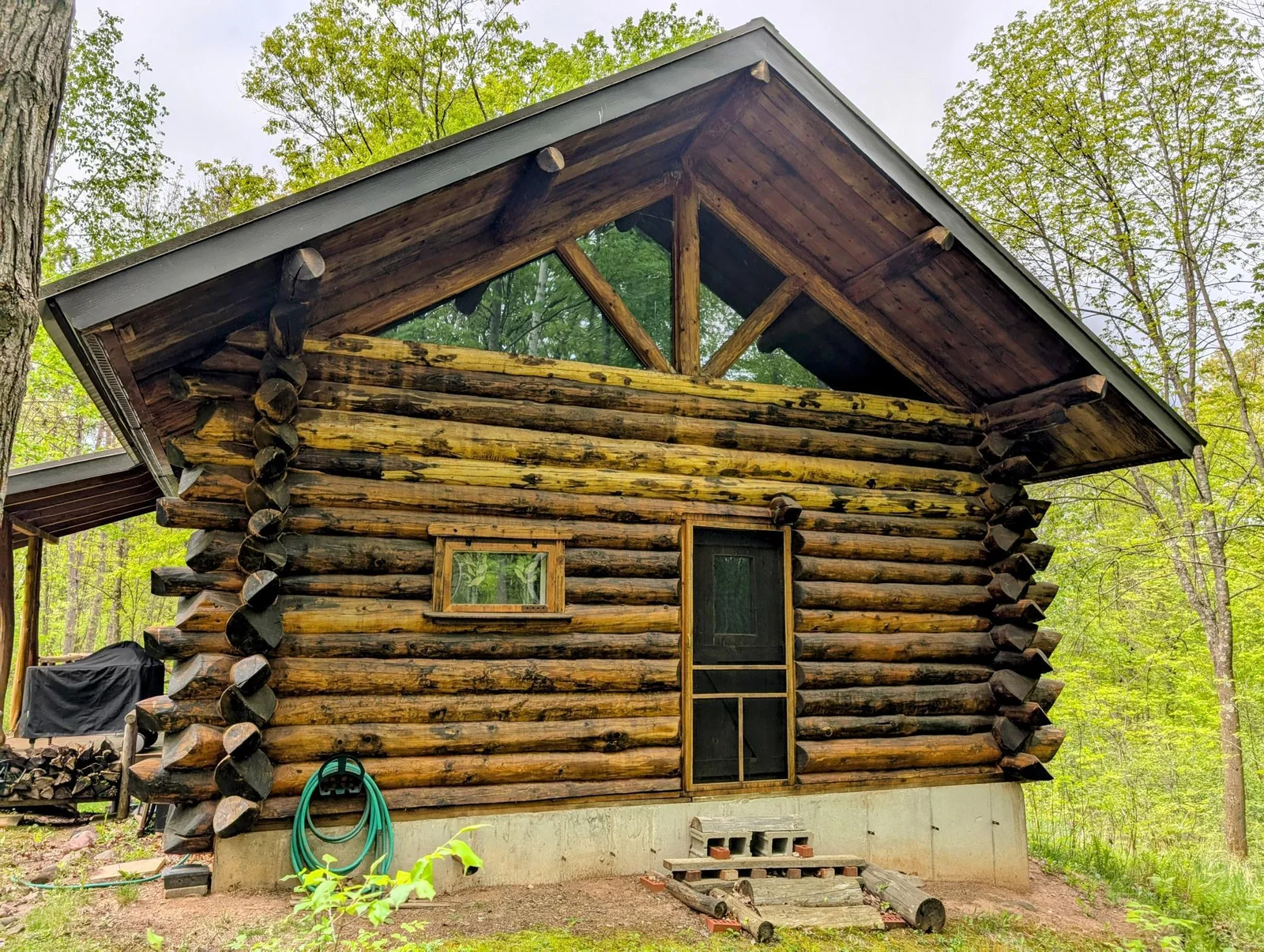 Cabin back.jpg