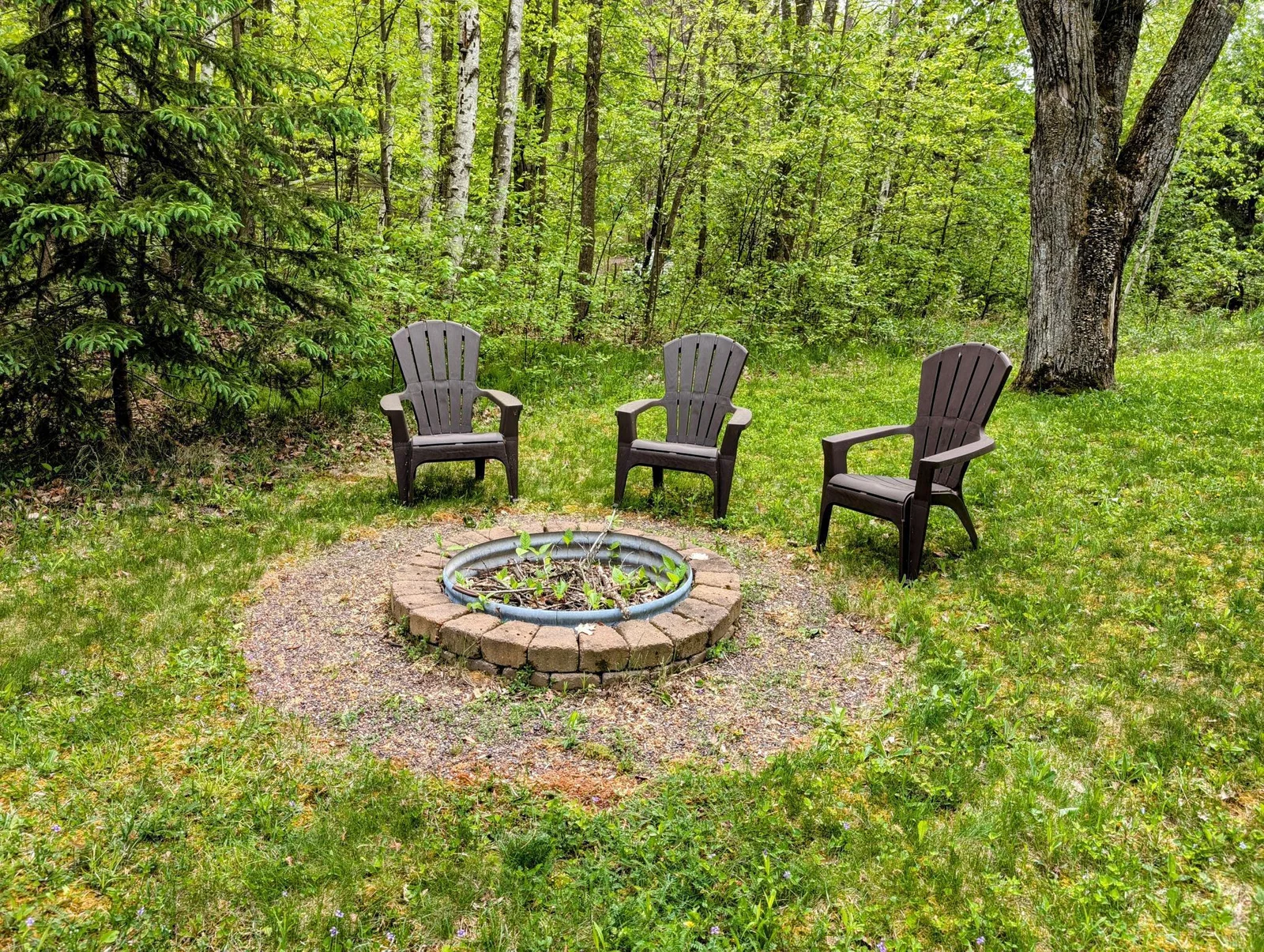 Fire pit.jpg