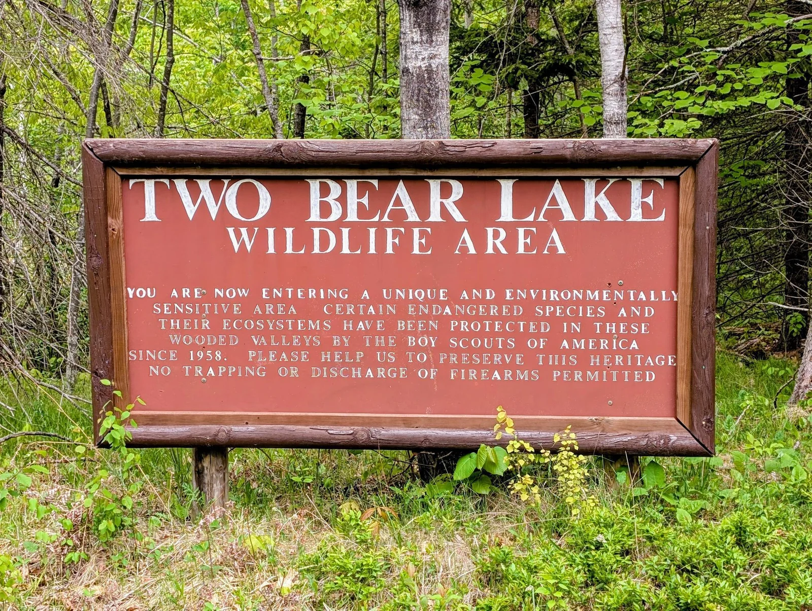 Sign.jpg
