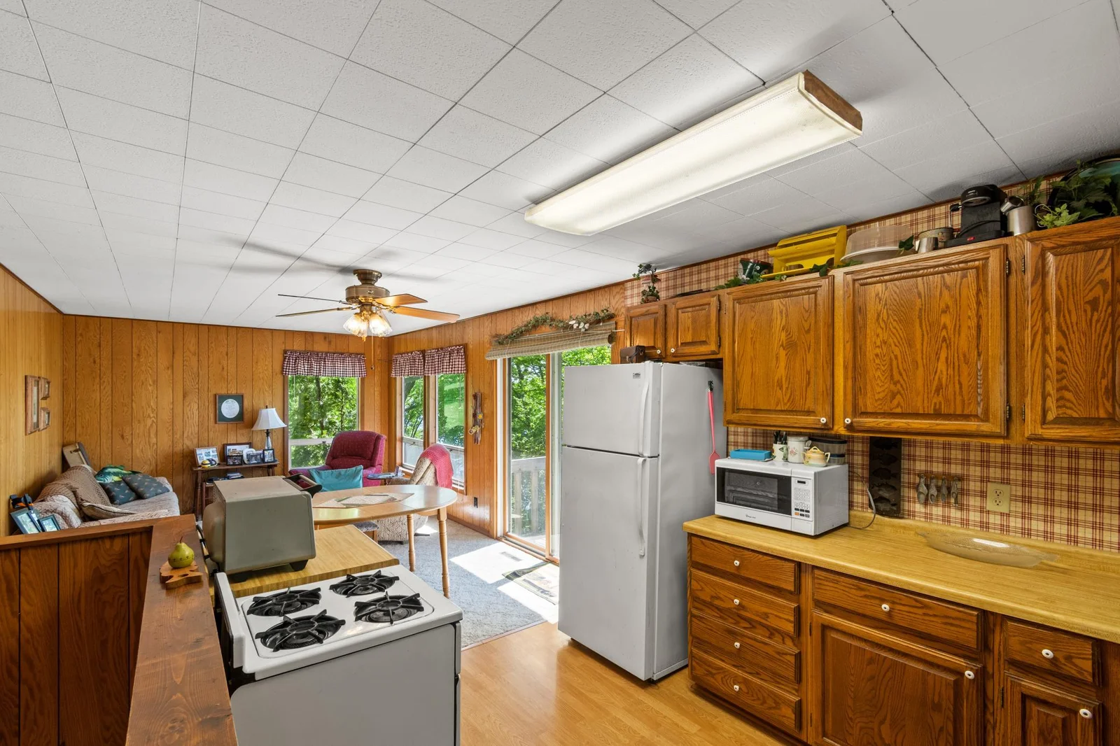 Kitchen to Living