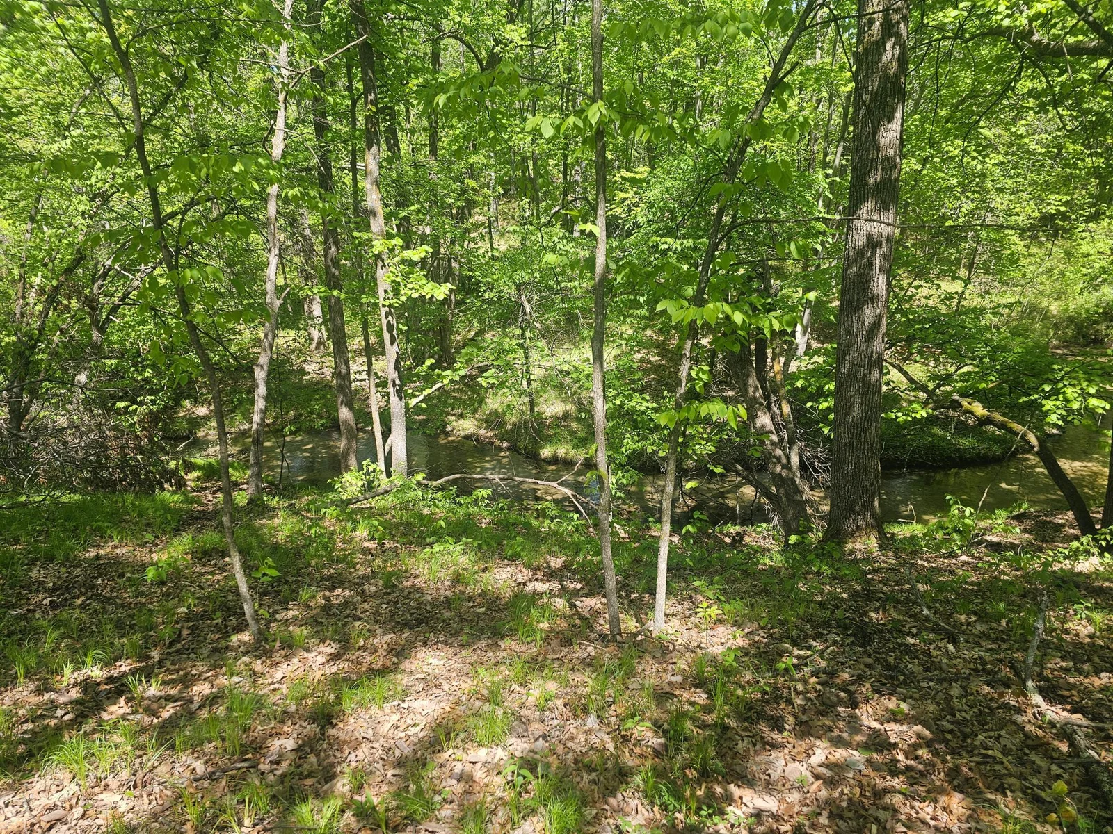Thumbnail photo 8
