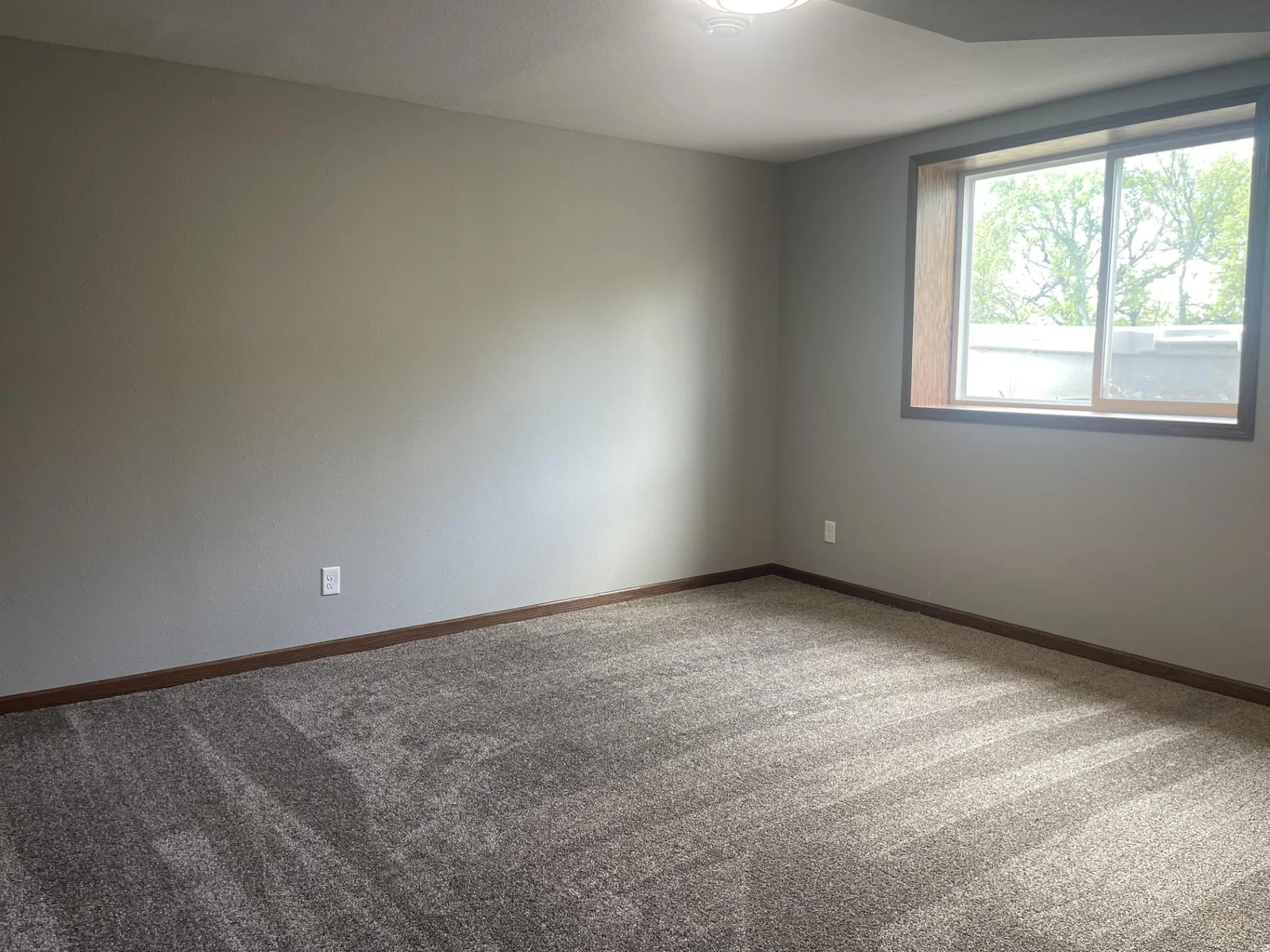 22 lake bas. bedroom.jpg
