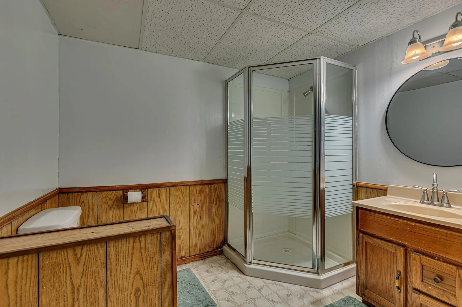 Lower level bathroom