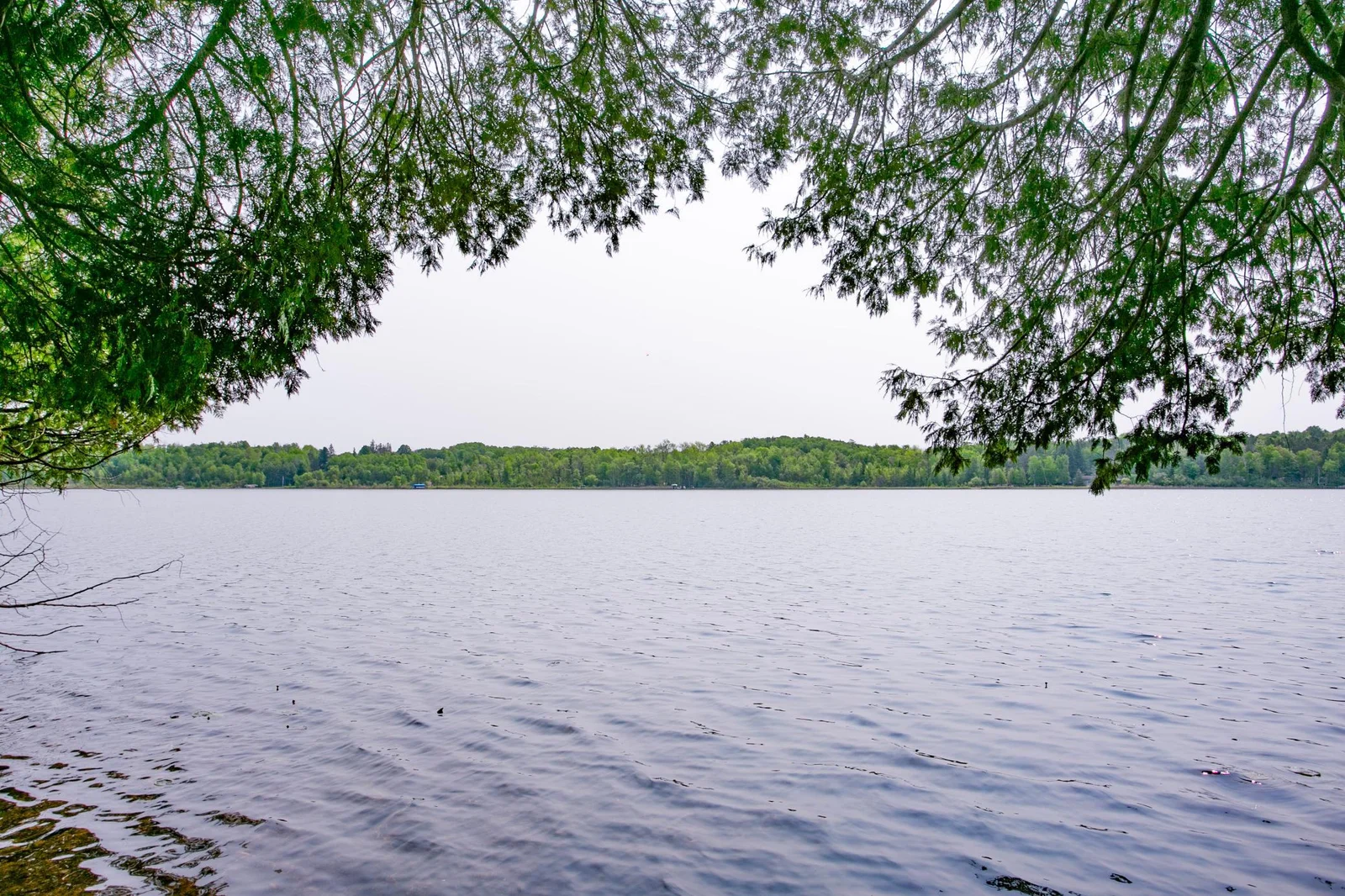 Graves Lake, nice hard sand bottom