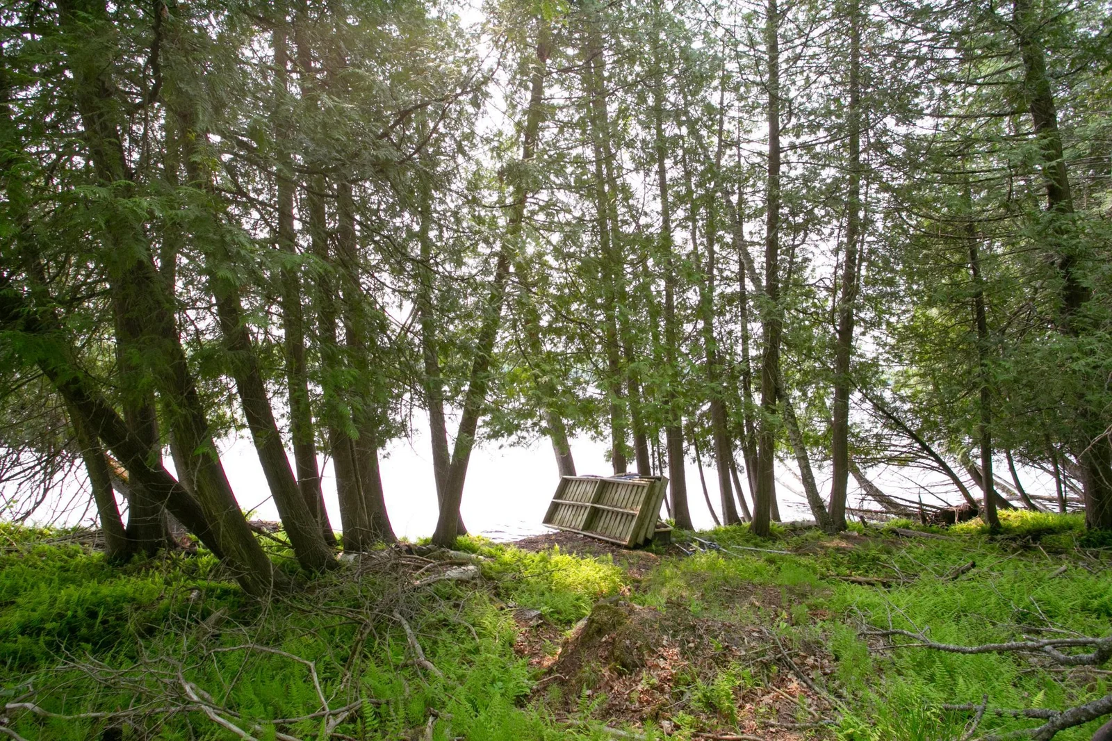 Nice hard lake bottom, dock is still on shore, but can go in anytime!
