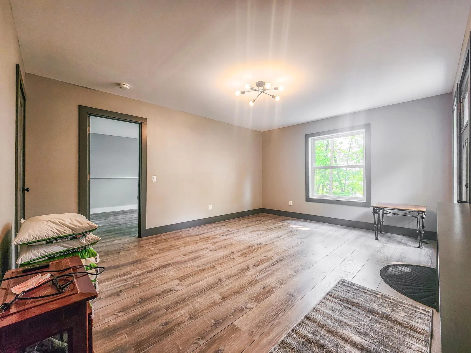 Lower level walk-out living/family room, recently finished with LVP flooring and fresh paint
