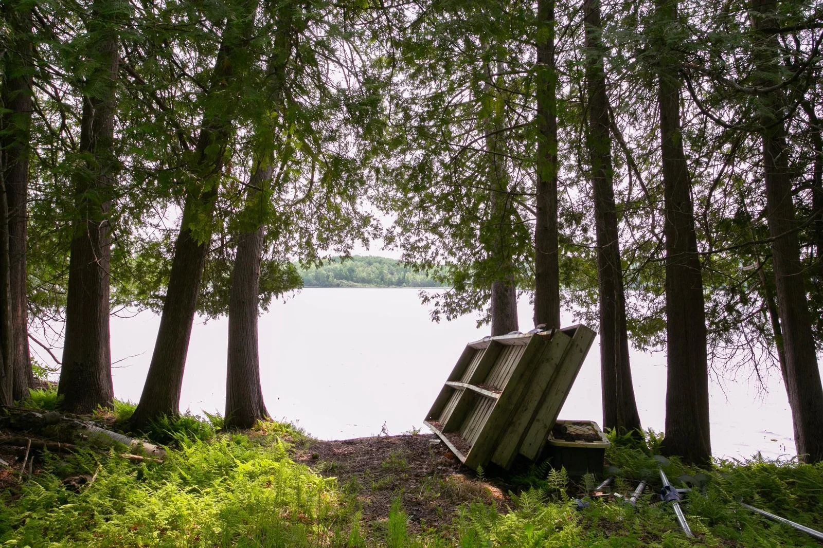 Lovely view of Graves Lake through the cedars, dock included
