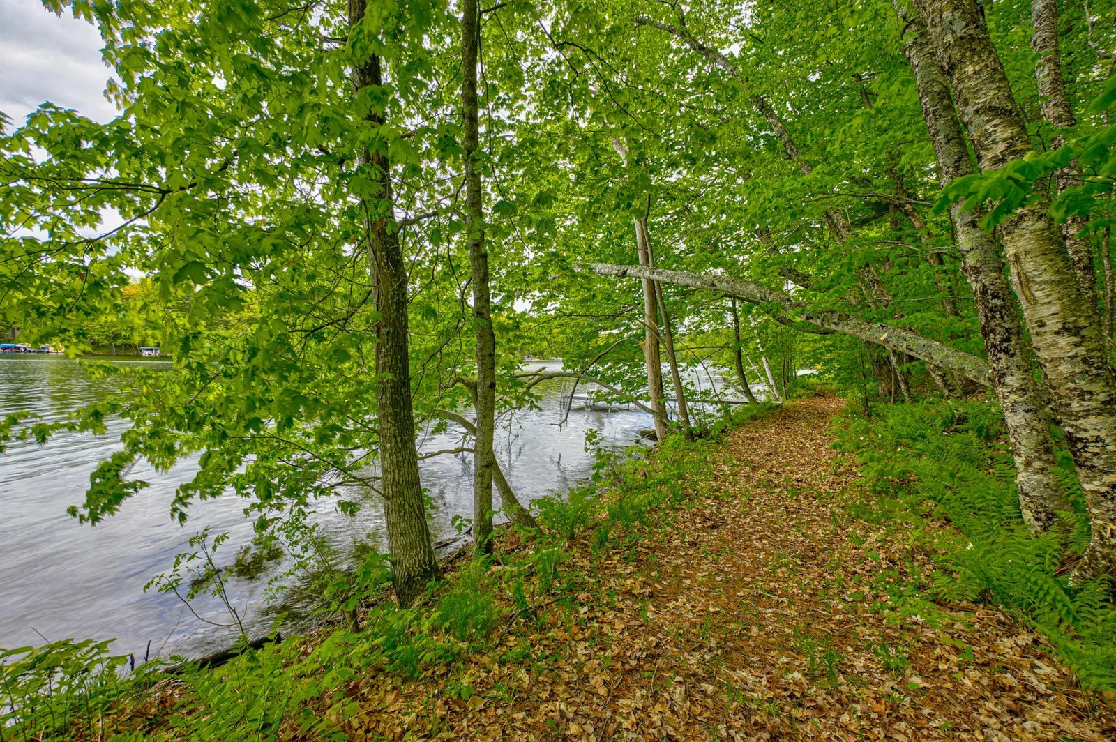 Thumbnail photo 9