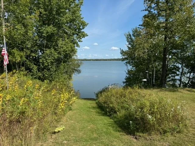 Pathway to the lake