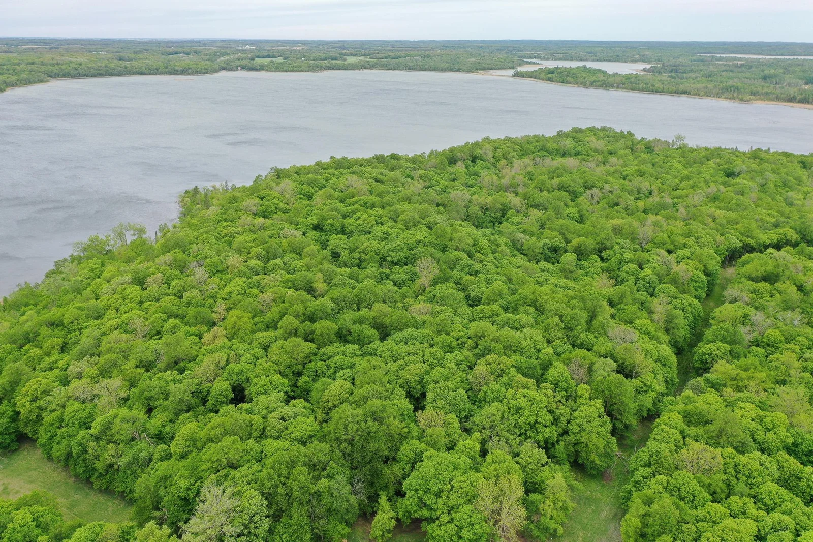 DJI_0338.jpg