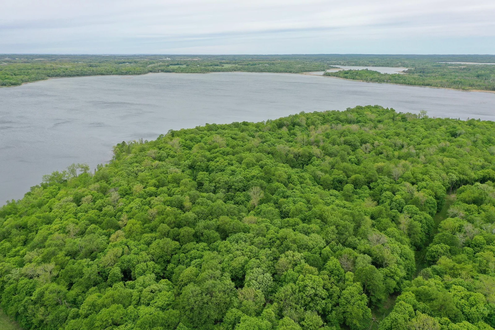 DJI_0336.jpg