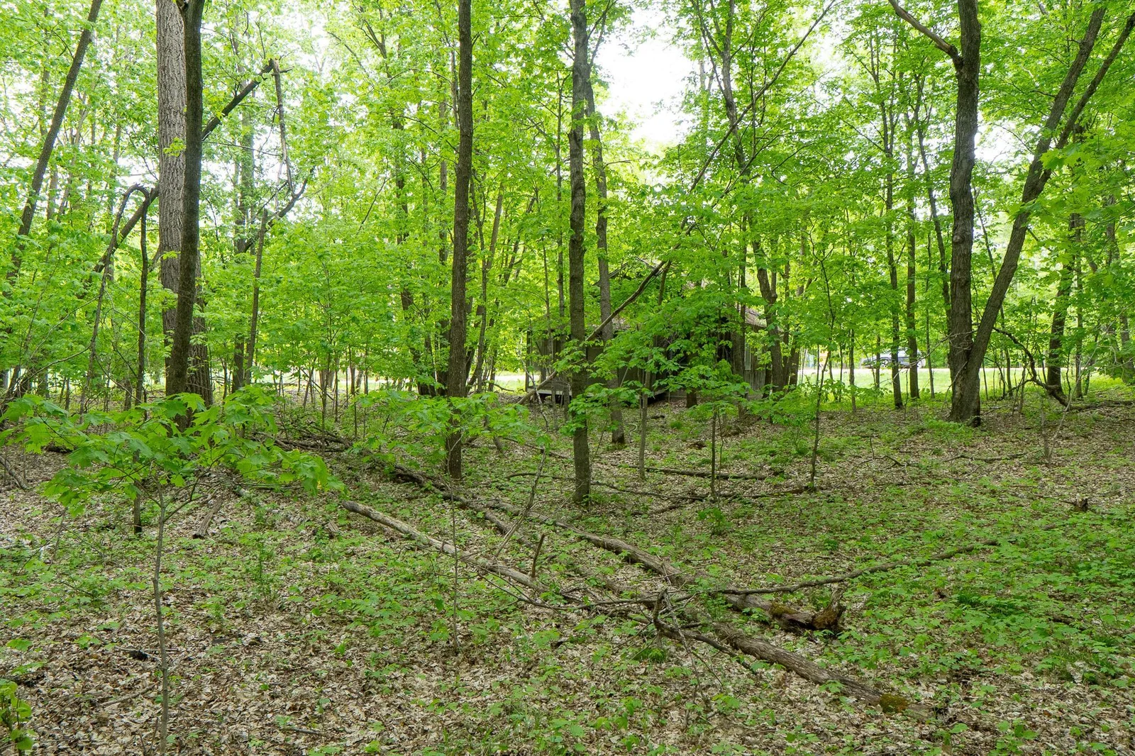 DSC00506.jpg