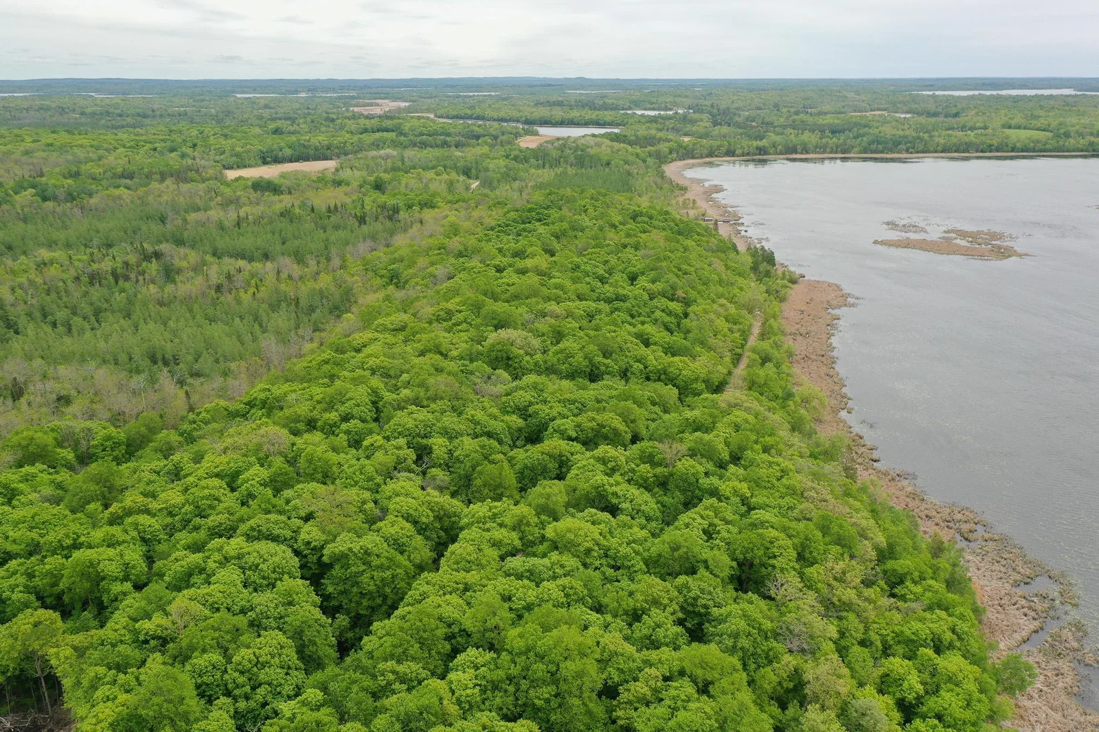 DJI_0333.jpg
