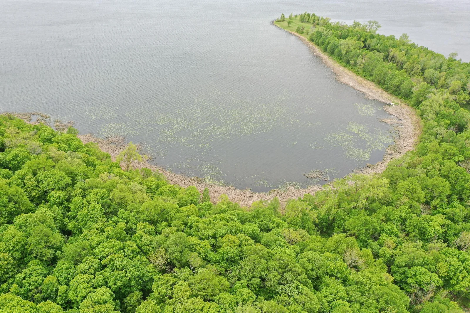 DJI_0330.jpg