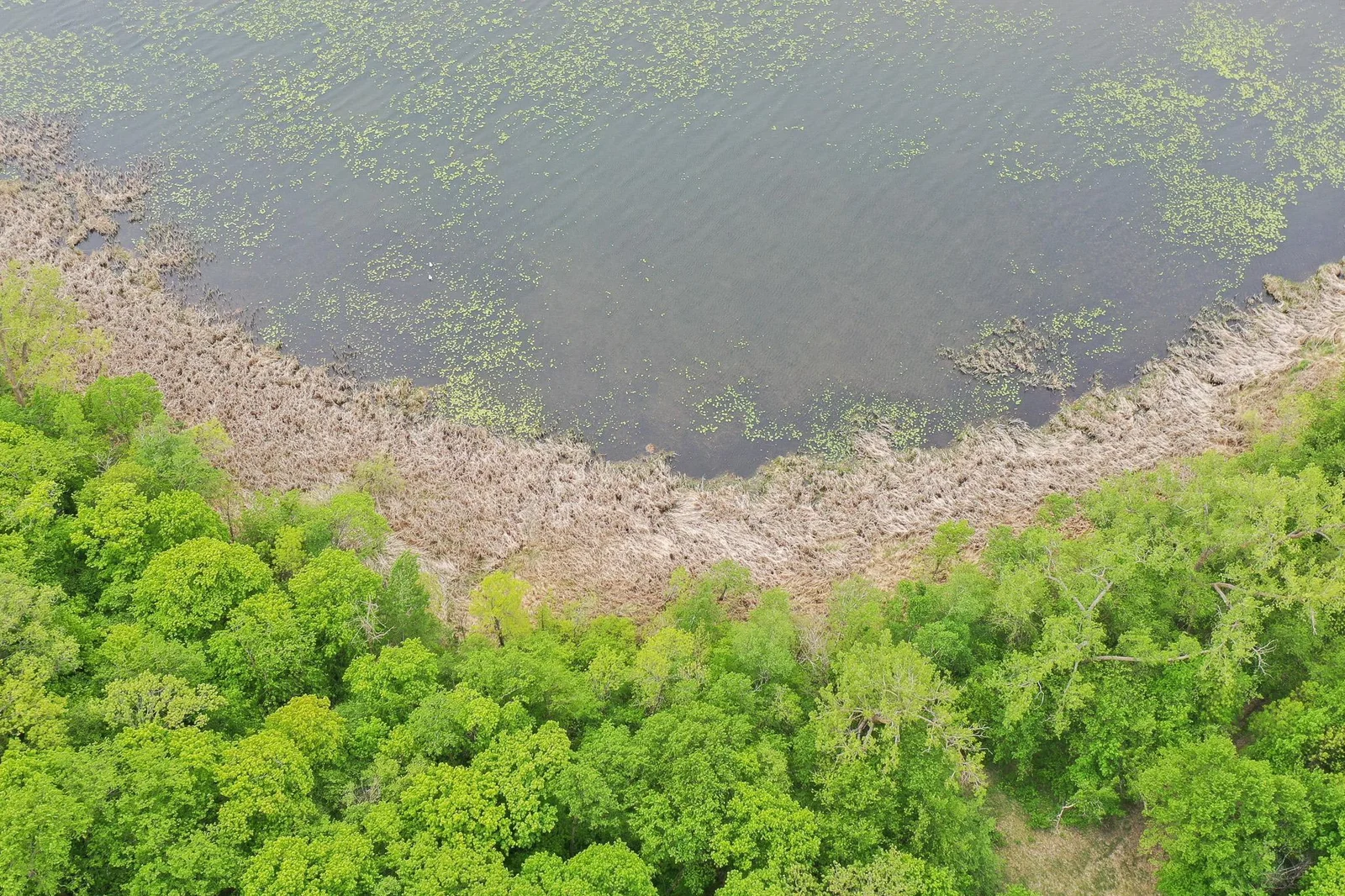 DJI_0331.jpg