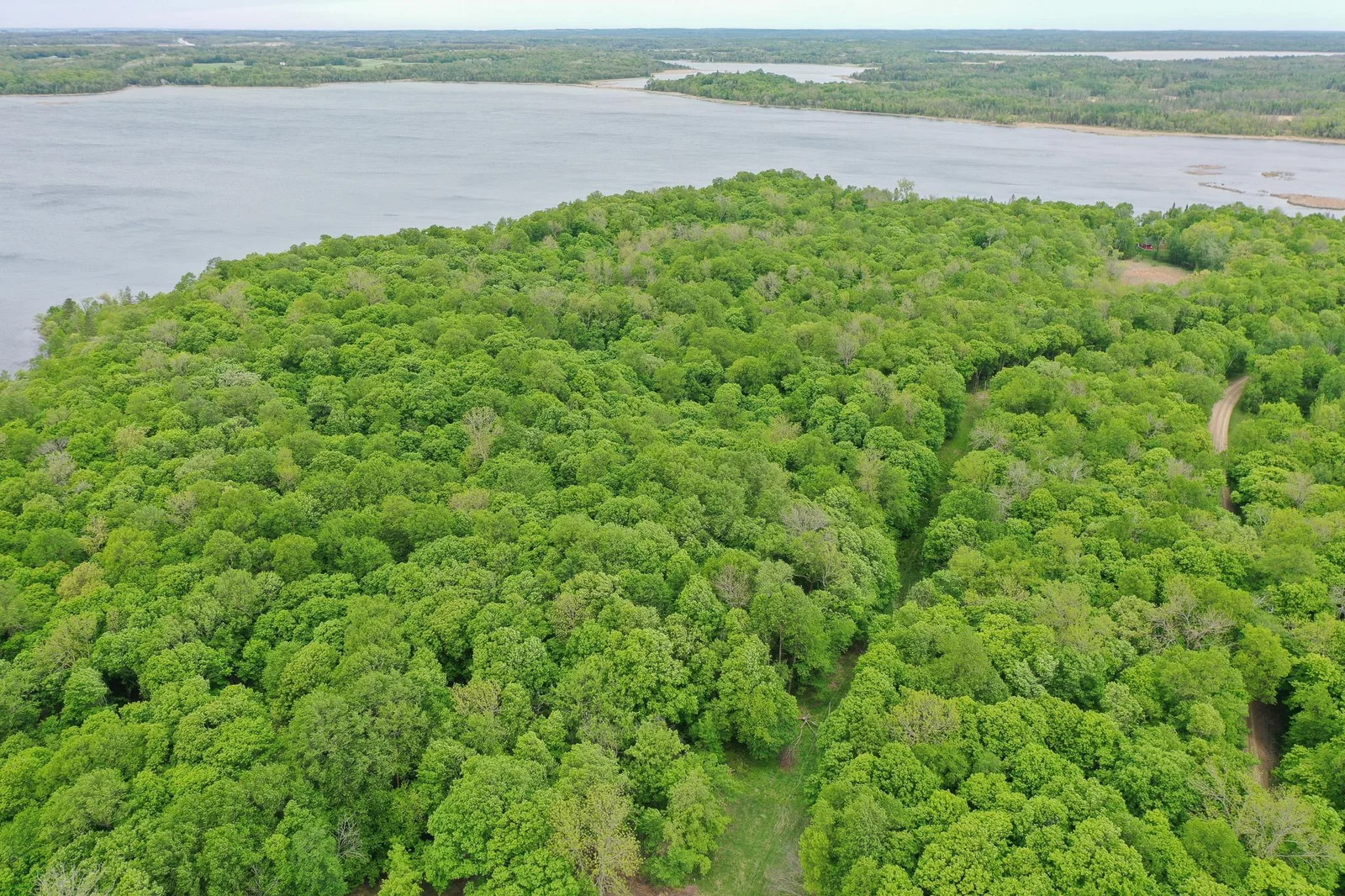 DJI_0335.jpg